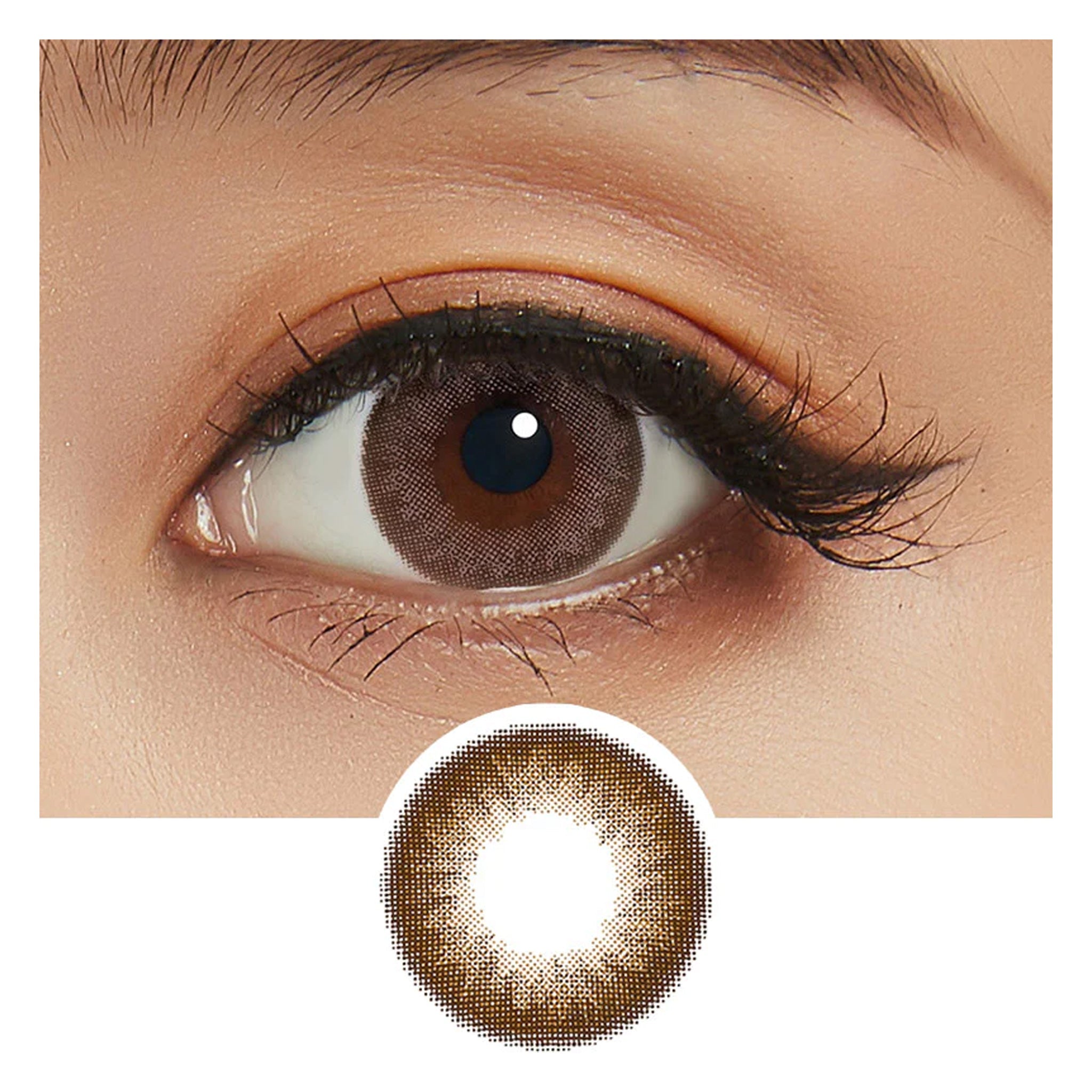 Feliamo 1Day Contact Lenses-Espresso 10pcs