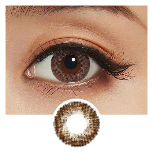 Feliamo 1Day Contact Lenses-Espresso 10pcs