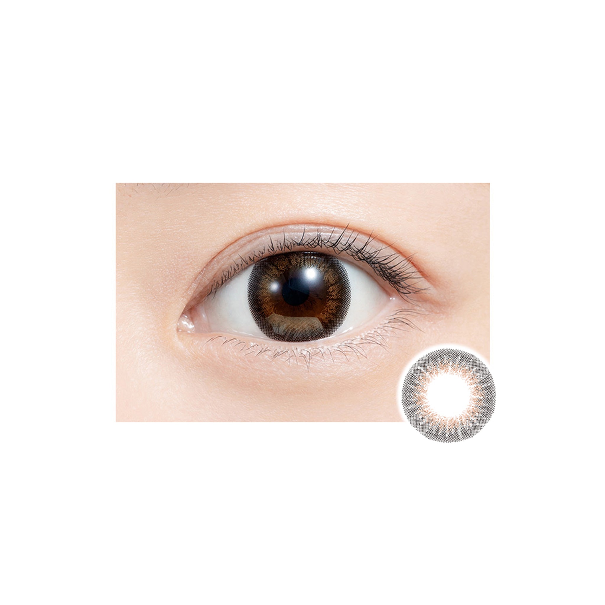 Feliamo Contact Lens - Japanese Lens Online in Canada – LAMOUR
