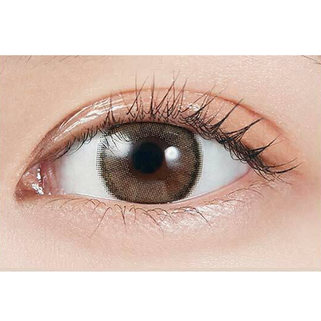 MOLAK 1Day Contact Lenses-Dazzle Beige 10pcs