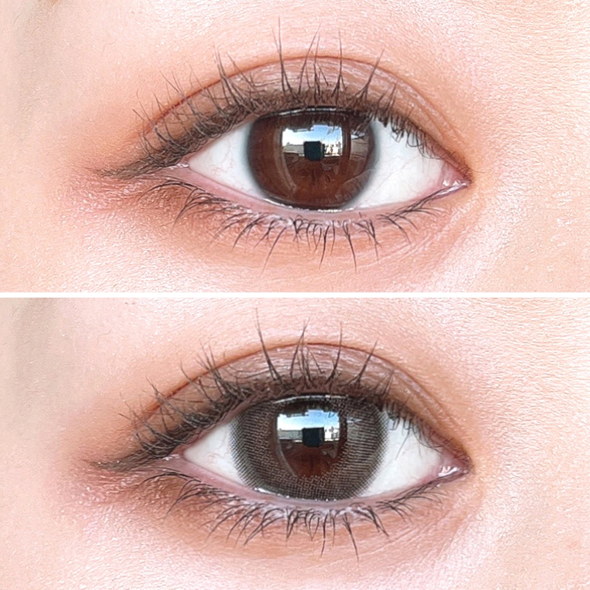 MOLAK 1Month Color Lens-Dark Peony 2pcs – LAMOUR BEAUTY & LIFE