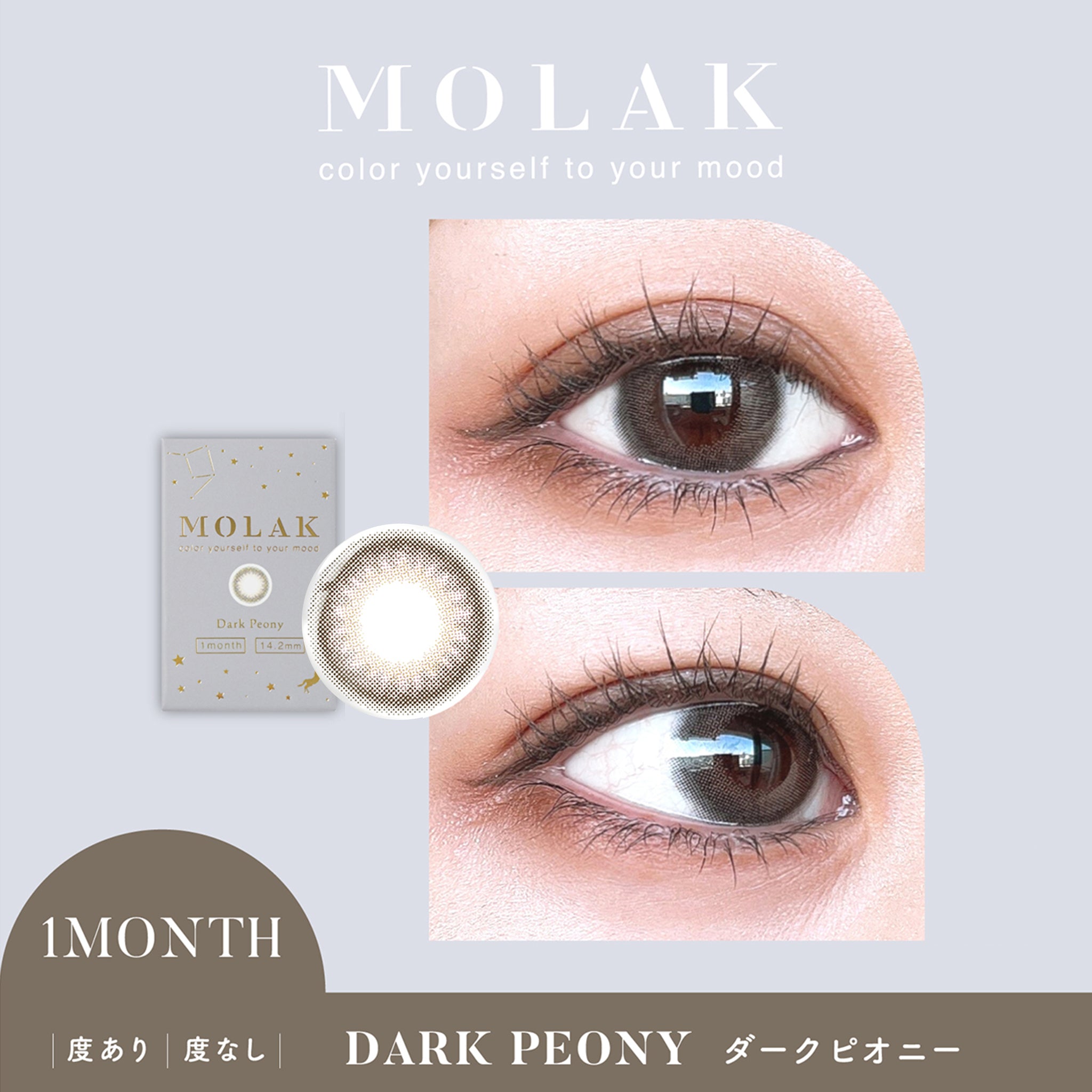 MOLAK 1Month Color Lens-Dark Peony 2pcs – LAMOUR BEAUTY & LIFE