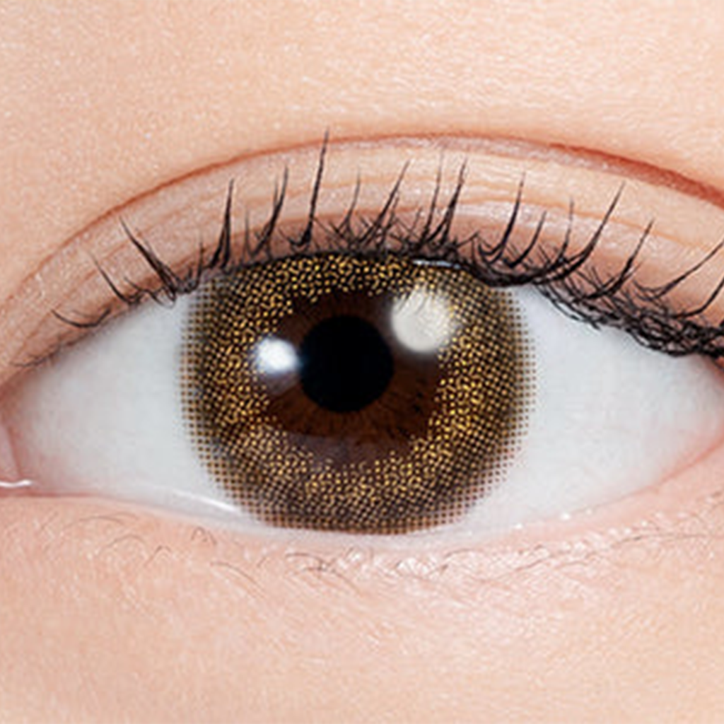 N's COLLECTION 1Day Contact Lenses-Hojicha Latte 10pcs
