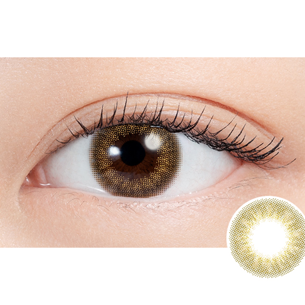 N's COLLECTION 1Day Contact Lenses-Hojicha Latte 10pcs
